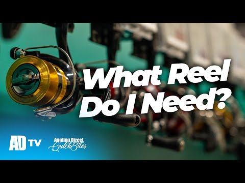 How To Pick The Right Fishing Reel For You - Angling Direct Quickbite