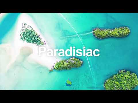 Mazelo Nostra - Beach Hopper