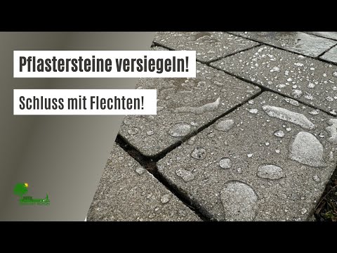 Pflastersteine versiegeln und imprägnieren | Schluss mit Flechten, Moos & Schwarzalgen | Lotoseffekt