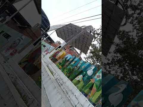 Silvania Cundinamarca