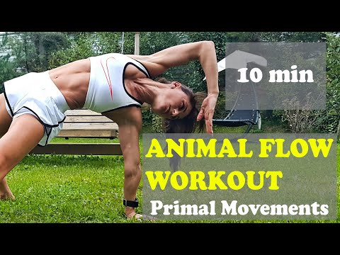 Animal Flow Workout / 10 Min / Venera Serova // Animal Flow / Locomotion / Primal Movement