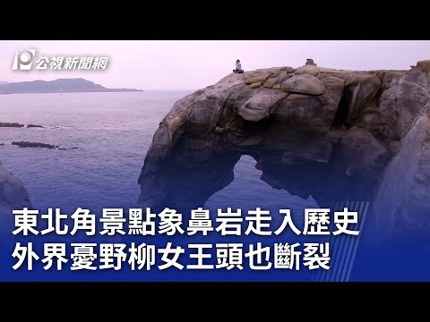 象鼻