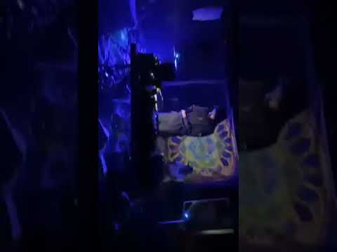 Impaktronet Live Maruata 2022