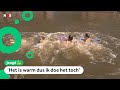 Veel kinderen zwemmen waar dat eigenlijk niet mag