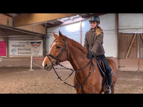 Glücksruf u. Stutfohlen von Jovian