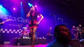 Let&#39;s Do Rocksteady (The Bodysnatchers) - The Selecter (Featuring Rhoda Dakar)