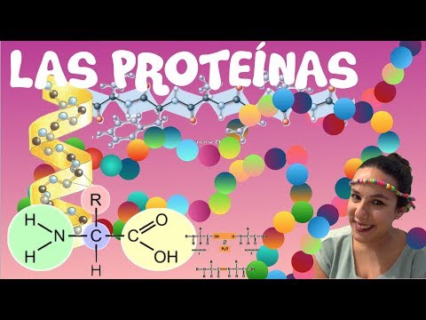 Las Proteínas - 2º de Bachiller. Bio[ESO]sfera
