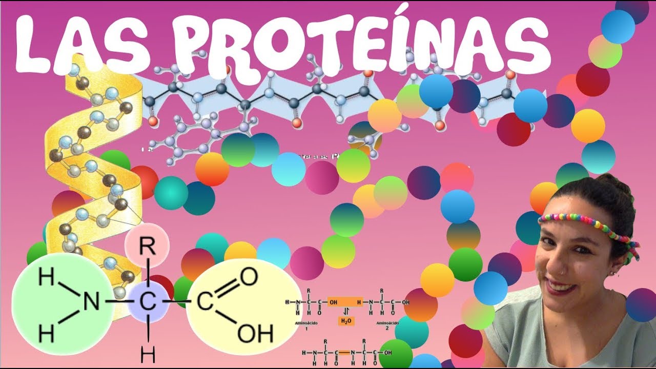 Las Proteínas - 2º de Bachiller. Bio[ESO]sfera