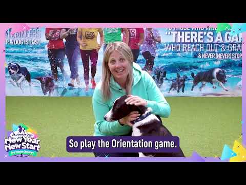 GAME 1 — Orientation Game