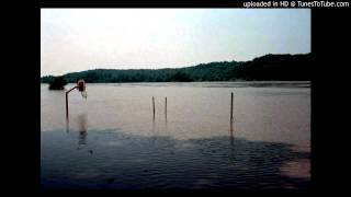 R.L. Burnside - See What My Buddy Done