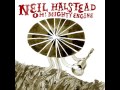 Neil Halstead - Sometimes the Wheels