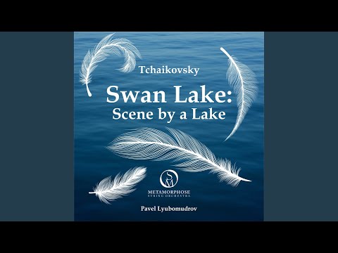 Swan Lake, Op. 20: Scene by a Lake
