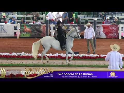 2019 Spectrum International - 253  Classic Fino Sub Jr Youth 7 12