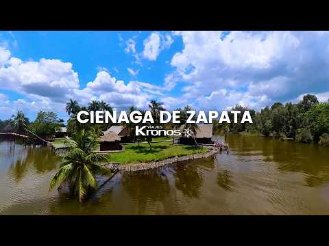 🌿 Ciénaga de Zapata: el gran santuario natural de Cuba 🇨🇺