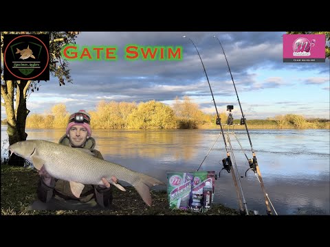 River Trent Barbel Fishing A1Pits (GateSwim) Mainline