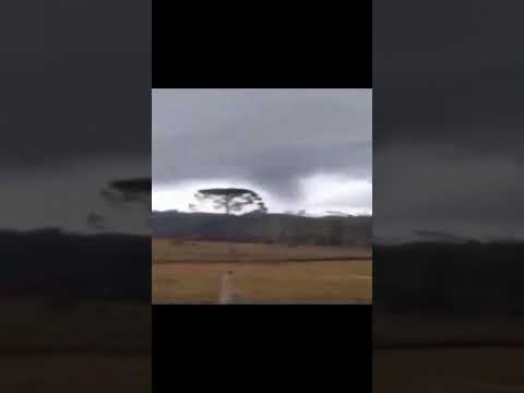 (INÁCIO MARTINS PARANÁ 2026 FU EDIT)