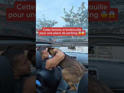 Tout ça pour une place 🅿️😨 #place #parking #malinois #marseille