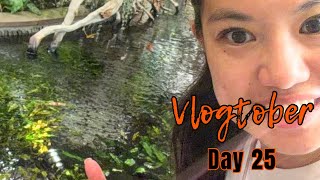 Download lagu 🎃👻 Vlogtober 2025 - Day 25 👻🎃 mp3