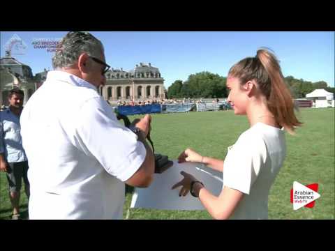 BRONZE - N.80 NAVAR DI MAR - Chantilly 2016 ABCE - Colts Championship (Class 15)