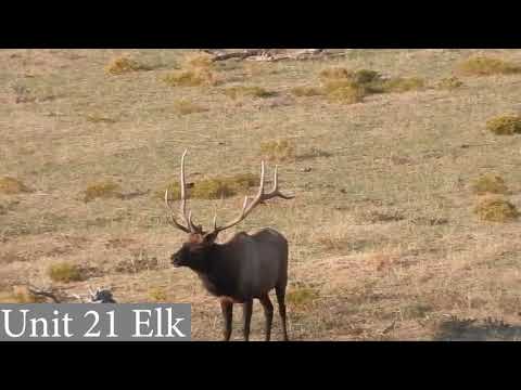 Colorado GMU Unit 21 Hunting Information