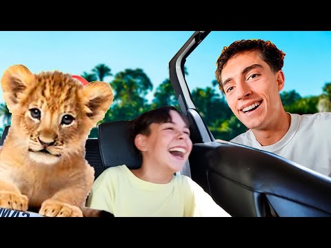 ¿Qué pasó con el LEÓN que @YoSoyPlex adoptó? ¡Safari Madrid en FAMILIA!