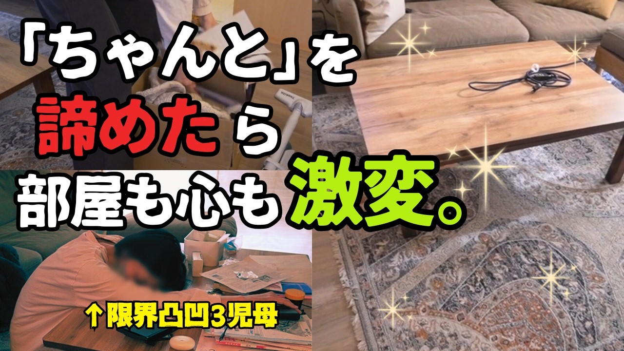 脳の凹凸が酷かった。【WAIS-Ⅳ知能検査】で片付け方が変わった。