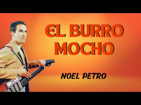 El Burro Mocho - Noel Petro | Lyric Video