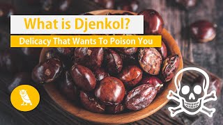 What is Djenkol? (Jengkol Stinkbean)  Fruits You P