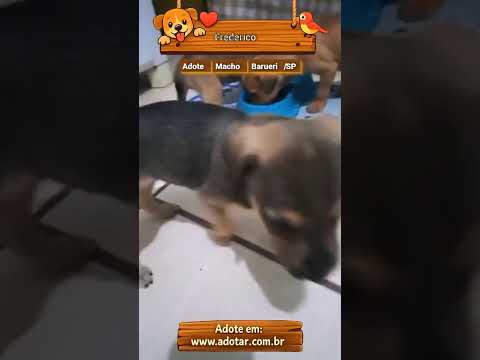 Vídeo de Frederico
