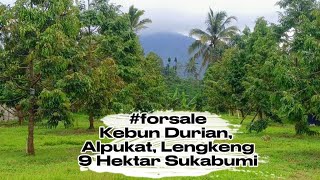 Download lagu JUAL KEBUN DURIAN, ALPUKAT DLL & VILLA (BISA DIBELI 3,5 HEKTAR) DI SUKABUMI @aldipropertybgr915  mp3