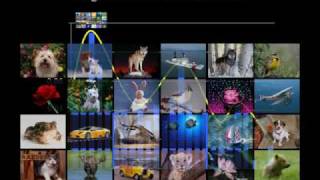 video.flv
