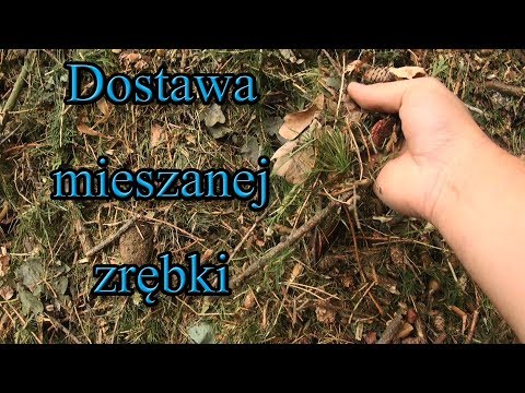 Ogrodowe pierdamony 32 - dostawa mieszanej zrębki