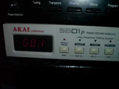 Vintage 90's Akai SG01p Piano Sound Module - Desktop Half Rack image 3