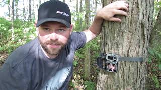 HOW TO | Troubleshooting red flashing status LED - SPYPOINT Micro Series