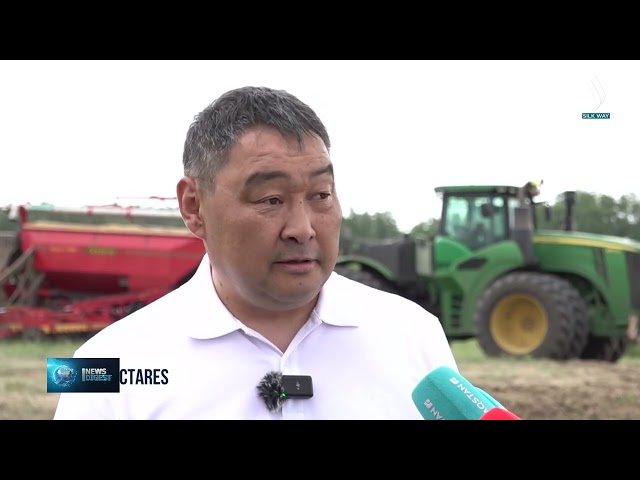 Total sown area in Akmola region reaches 5.5 million hectares