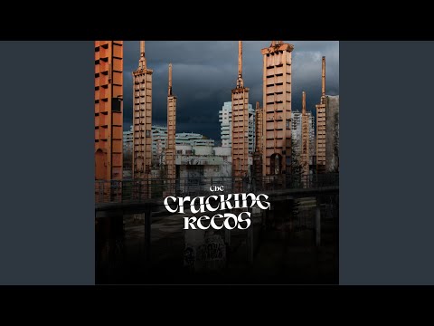 Courting is a Pleasure