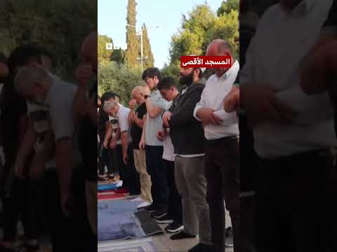 فيديو | كيف بدت أجواء عيد الأضحى حول العالم؟