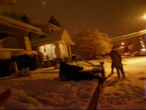 loris beat down lol 0001