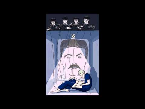 Dom & Optical - Quadrant 6