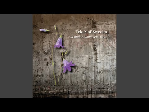 Allt under himmelens fäste