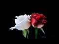 We Will Dance - Stephen Curtis Chapman - All About Love (HD)