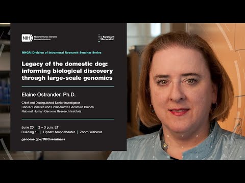 NHGRI DIR Seminar Series - Elaine Ostrander