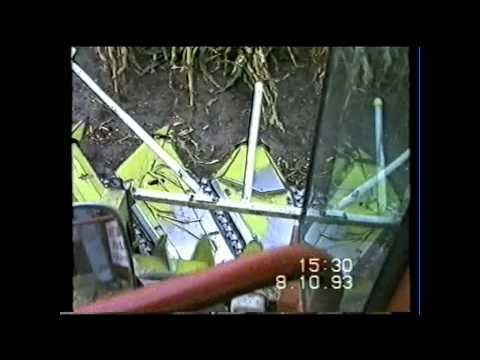 Loonw. De Bruyne - Assenede