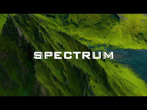 GALLEGO presents SPECTRUM Vol. 8 (MEDUZA, Korolova, Anyma)