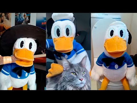 You Laugh You Lose #1 - SAN PITO PATO