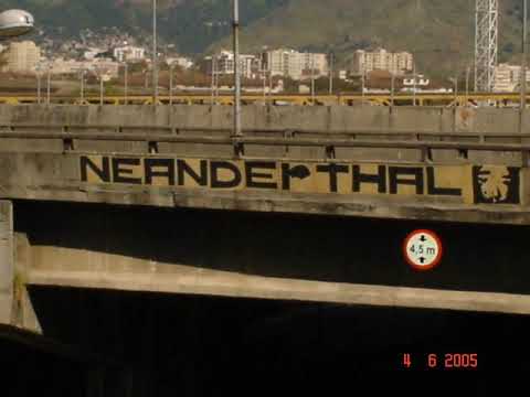 Homem Tartaruga video