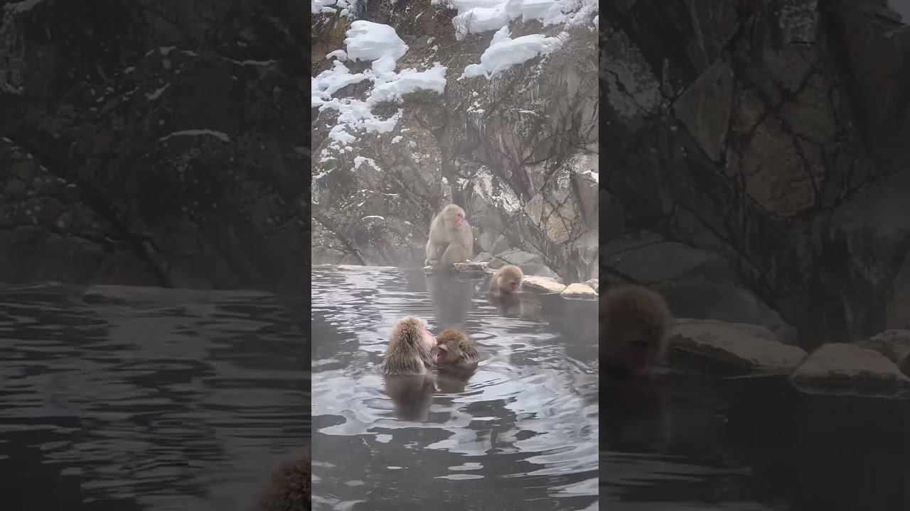 YouTube Short thumbnail