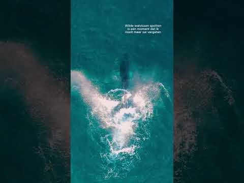 Reis minstens 1 keer in je leven naar IJsland