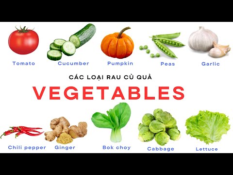 Học Tiếng Anh - CÁC LOẠI RAU CỦ QUẢ P2 - Epic's Channel