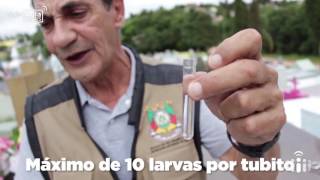 Atualização no combate ao Aedes aegypti: atuação do Agente de Combate às Endemias